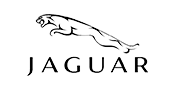 For Jaguar